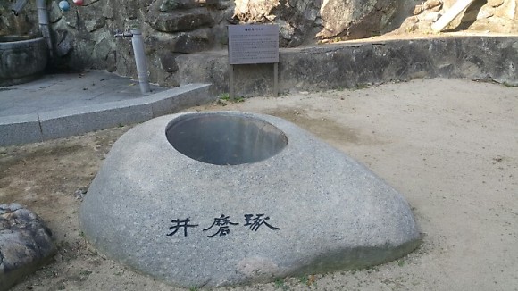 파도의숲 이미지