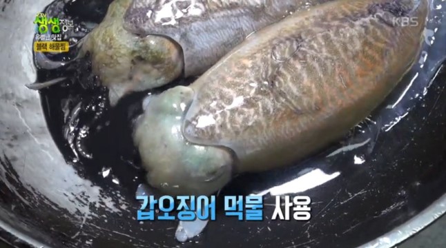 신해물나라 이미지