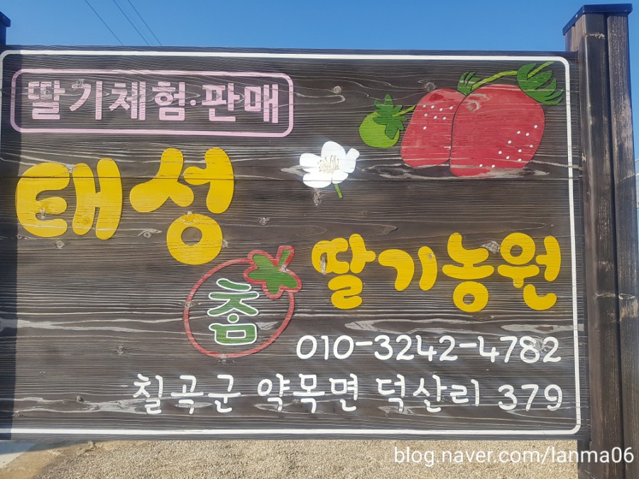 태성참딸기농원 이미지