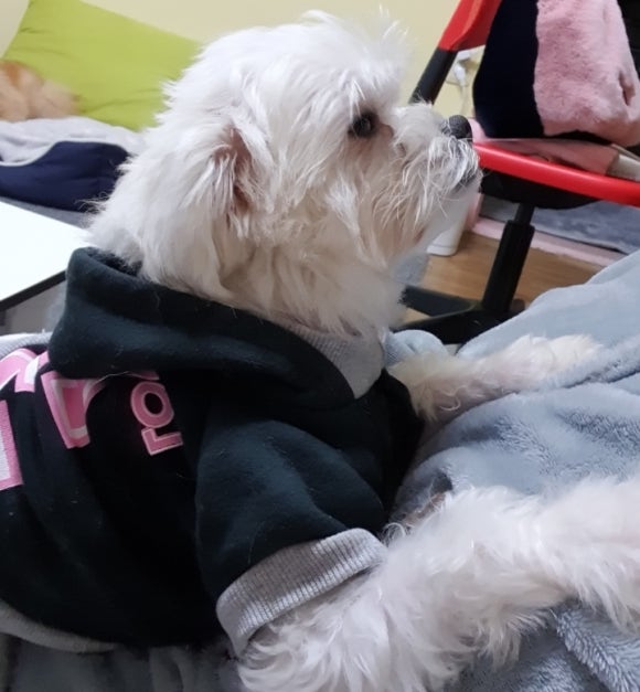 (주)도도네 이미지