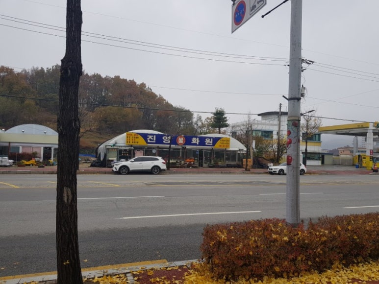 진영화원 이미지
