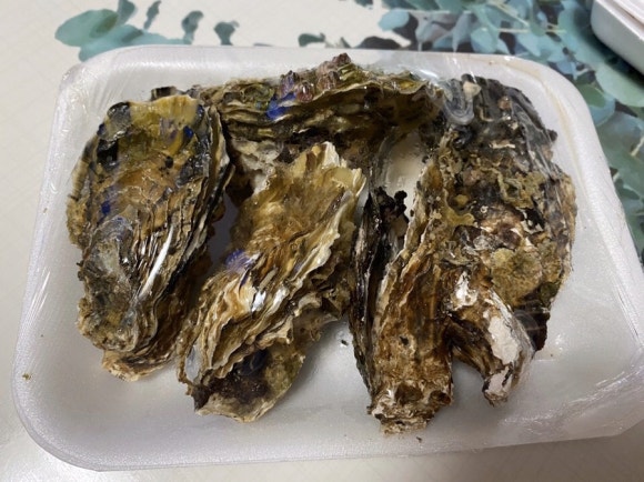 통큰바다횟집 이미지