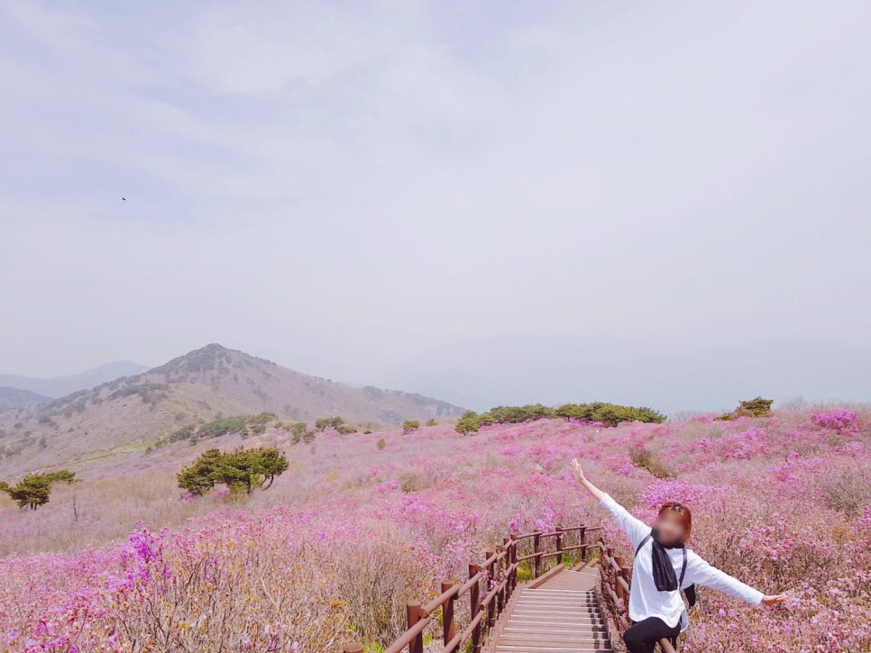 비슬산자연휴양림 이미지
