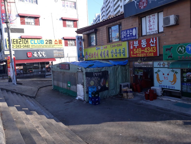 산오징어비빔，회 이미지