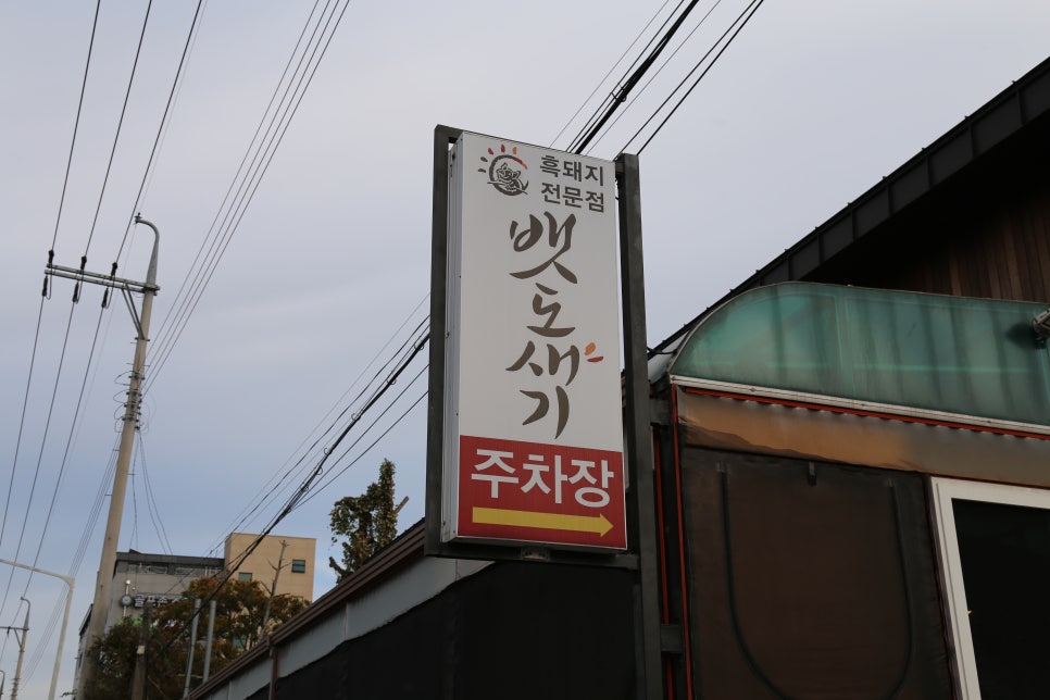 일등돼지 이미지