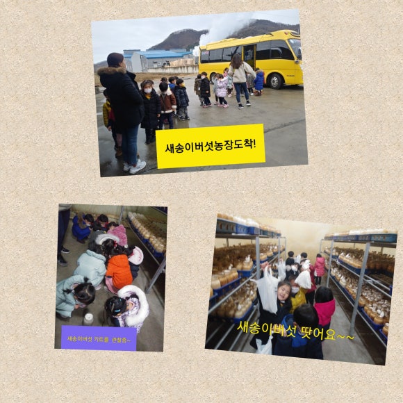 동심예능유치원 이미지