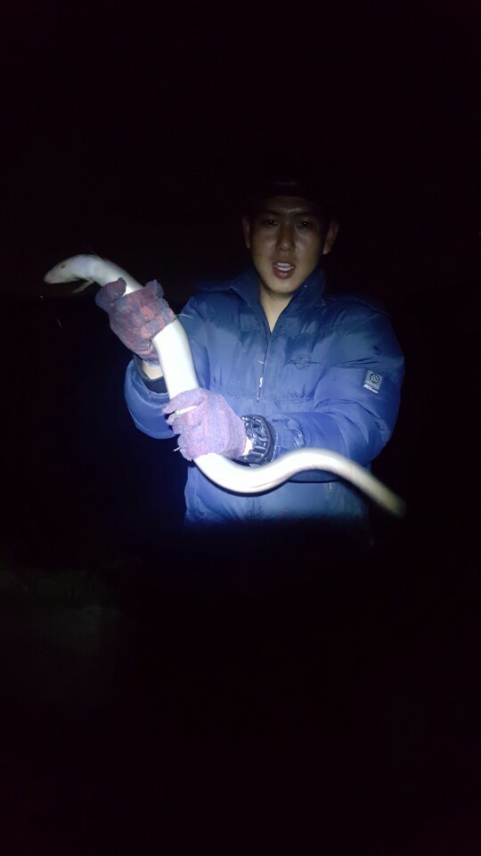 민물장어낚시 이미지