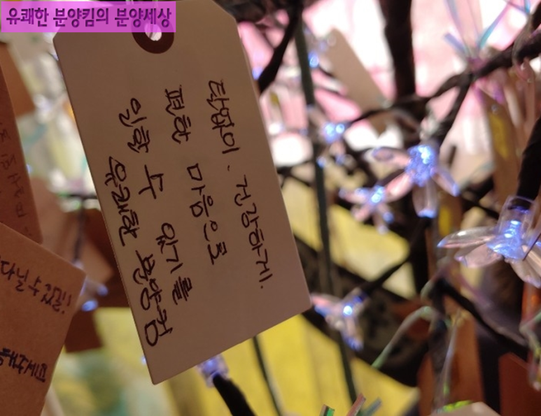 소원나무타로카페 이미지