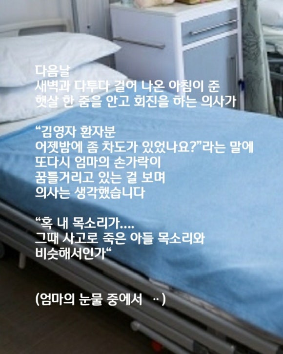 햇살한줌 이미지