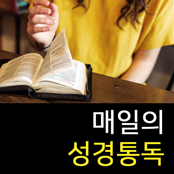 최*주 이미지