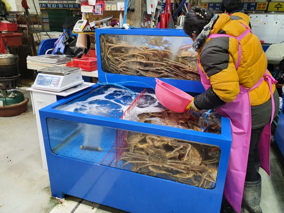 금정수산 이미지