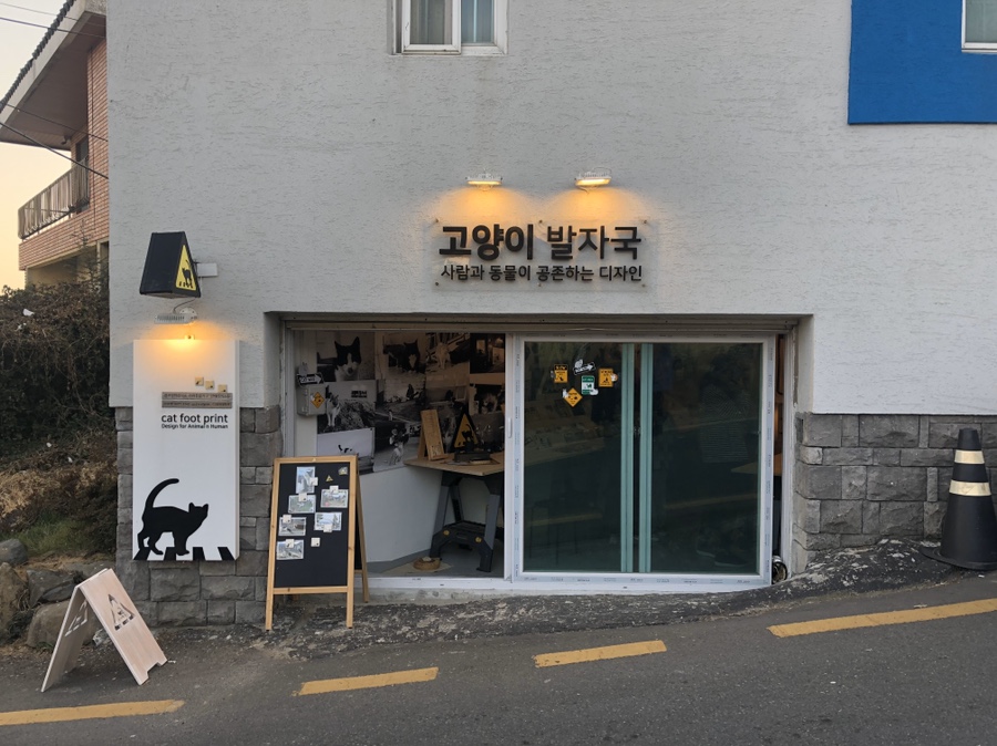 고양이발자국 이미지