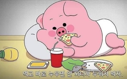 광주썬팅 이미지