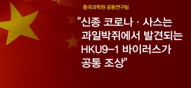 우한판 이미지