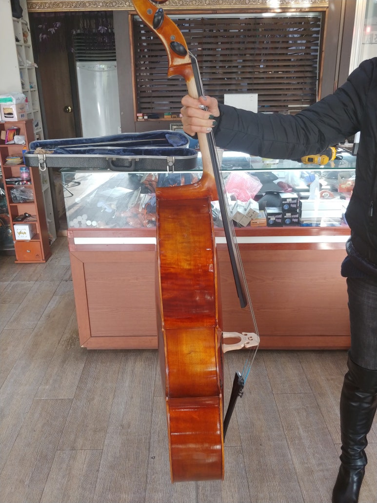 파로스현악기사 이미지
