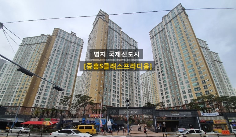 사반니 이미지