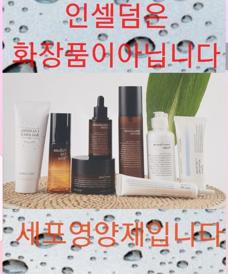 찬스인셀덤 이미지