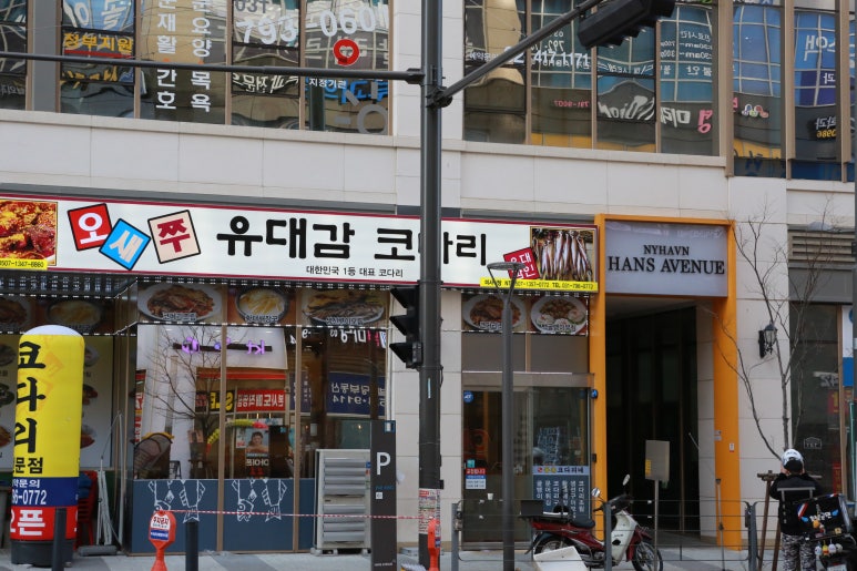 이것이코다리다 이미지