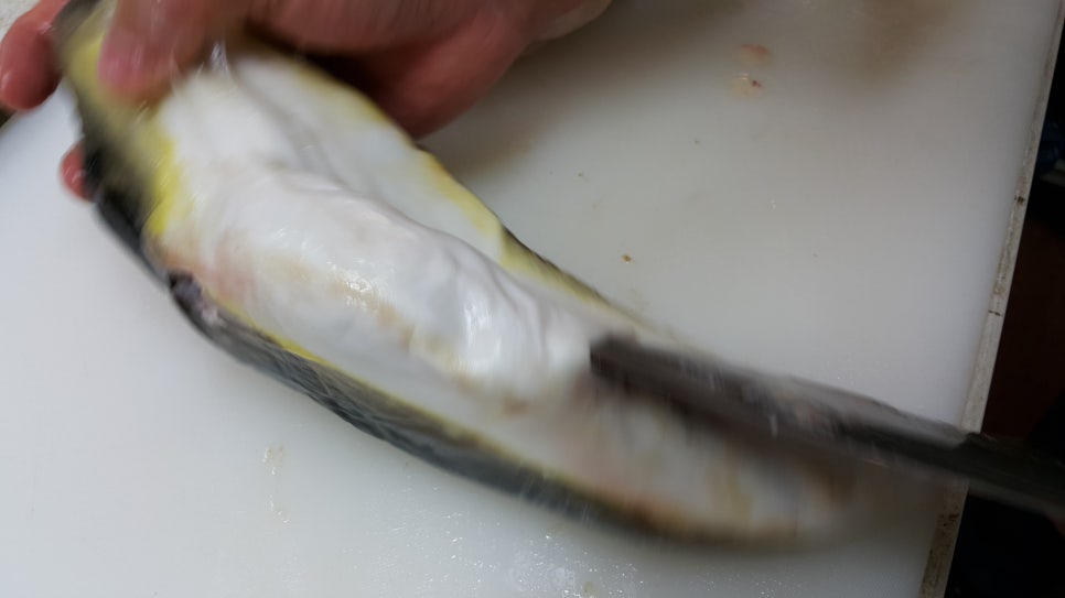 복어학교 이미지