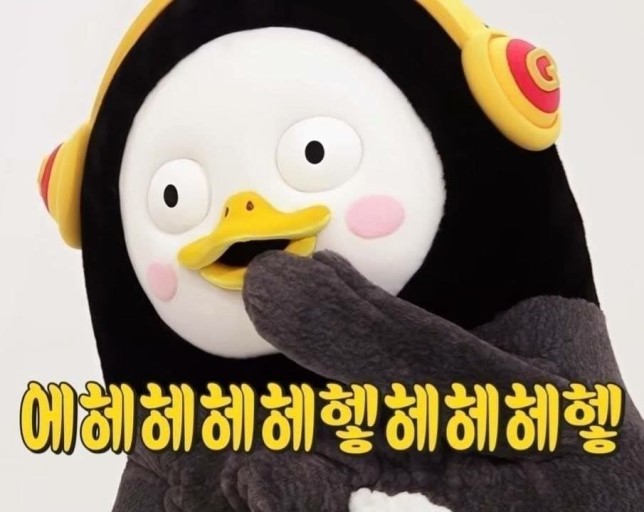 오엘투어 이미지