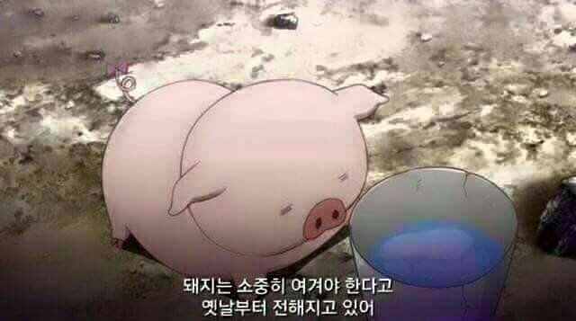 대명춘 이미지