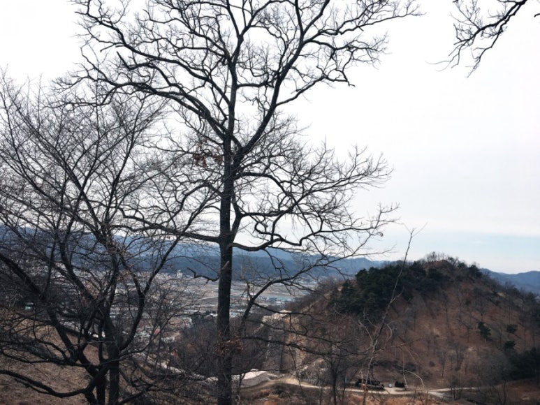 보은아지매 이미지