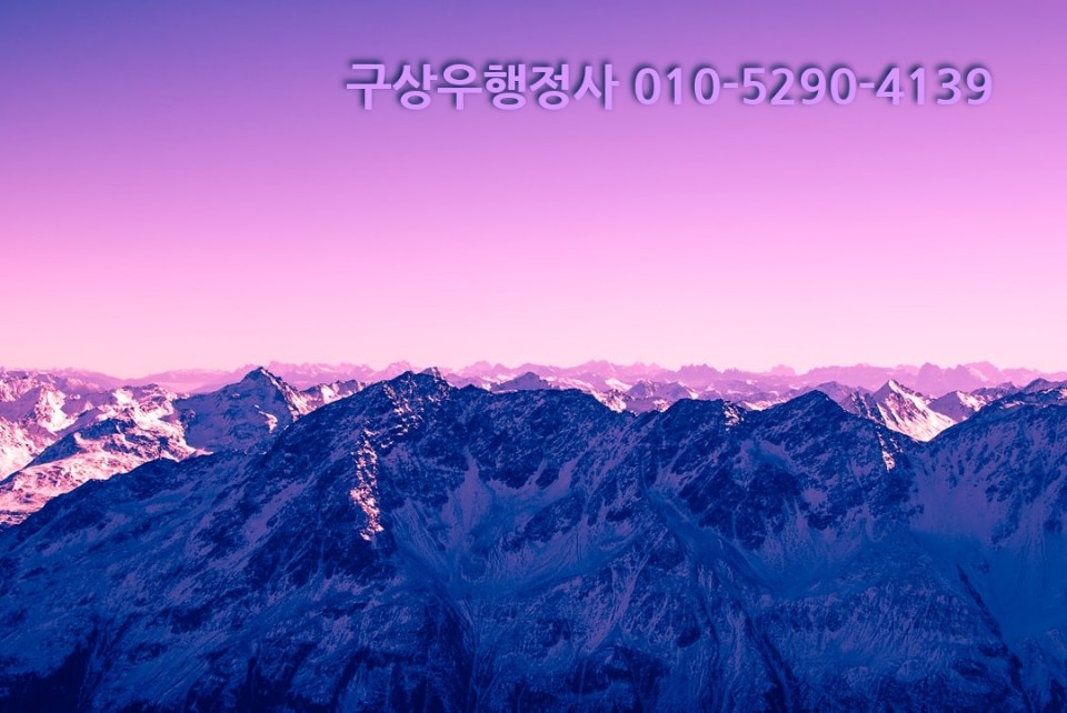 라온행정사사무소 이미지