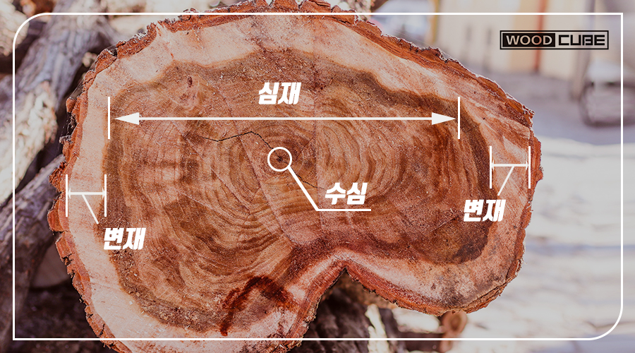 이심재 이미지