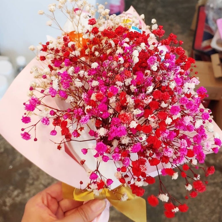 프래그린 이미지
