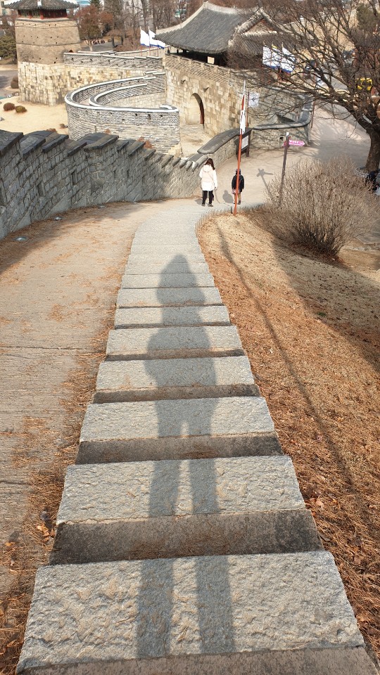숲:토닥 이미지