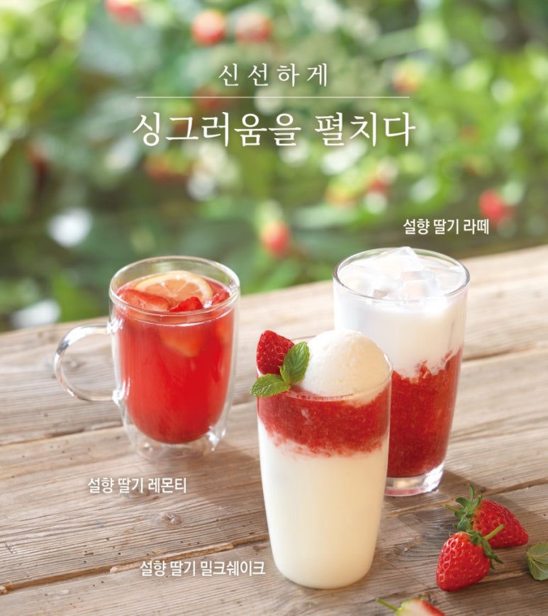 할리스커피고양행신점 이미지