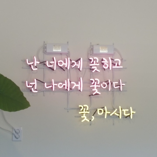 꽃마시다 이미지