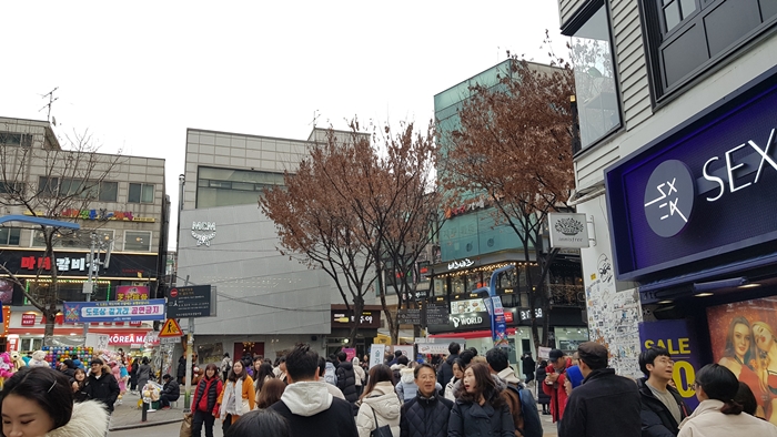 미래안 이미지
