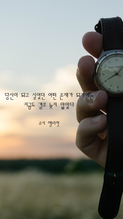 스타일피트 이미지