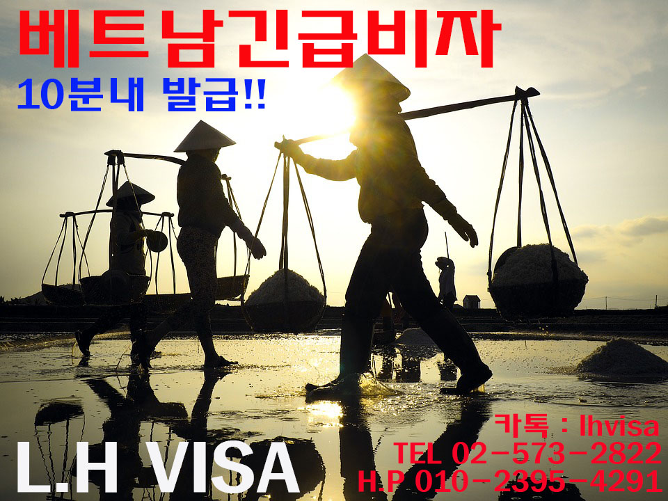 엘에이치 비자(L.H VISA) 이미지