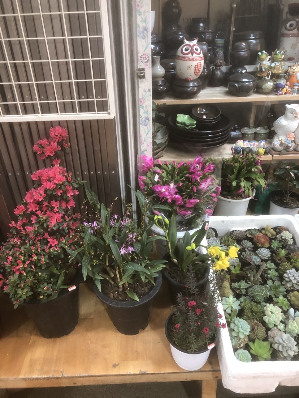 복대시장 이미지