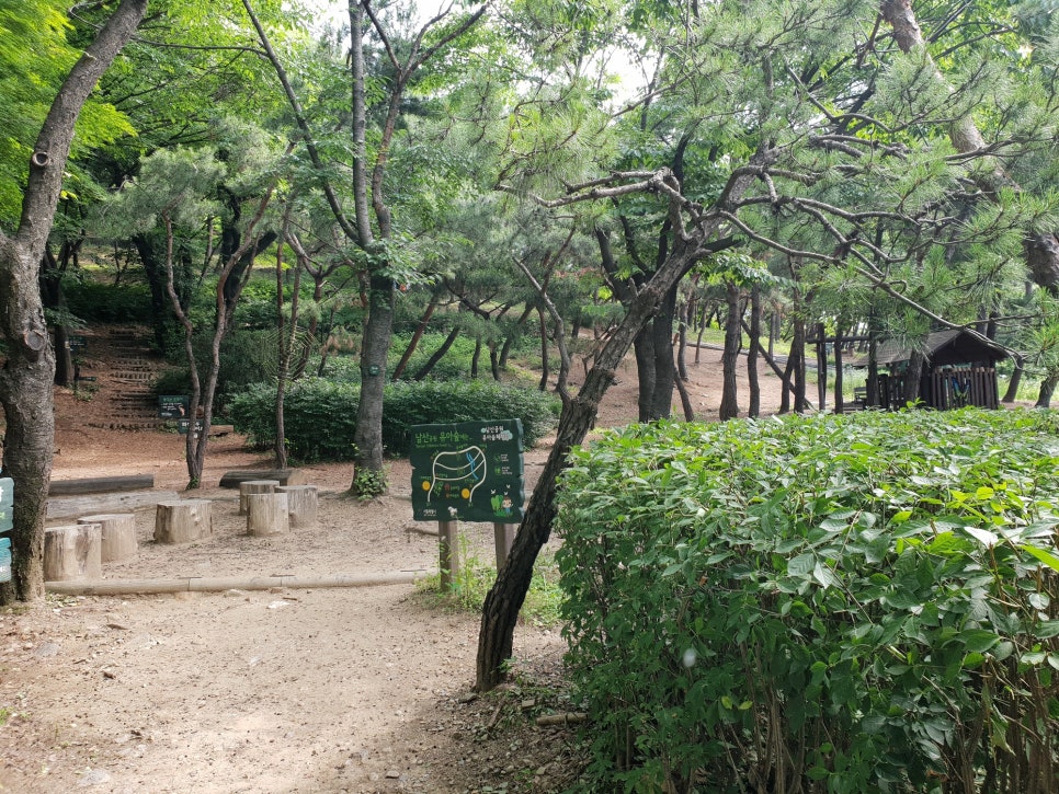파랑새유치원 이미지