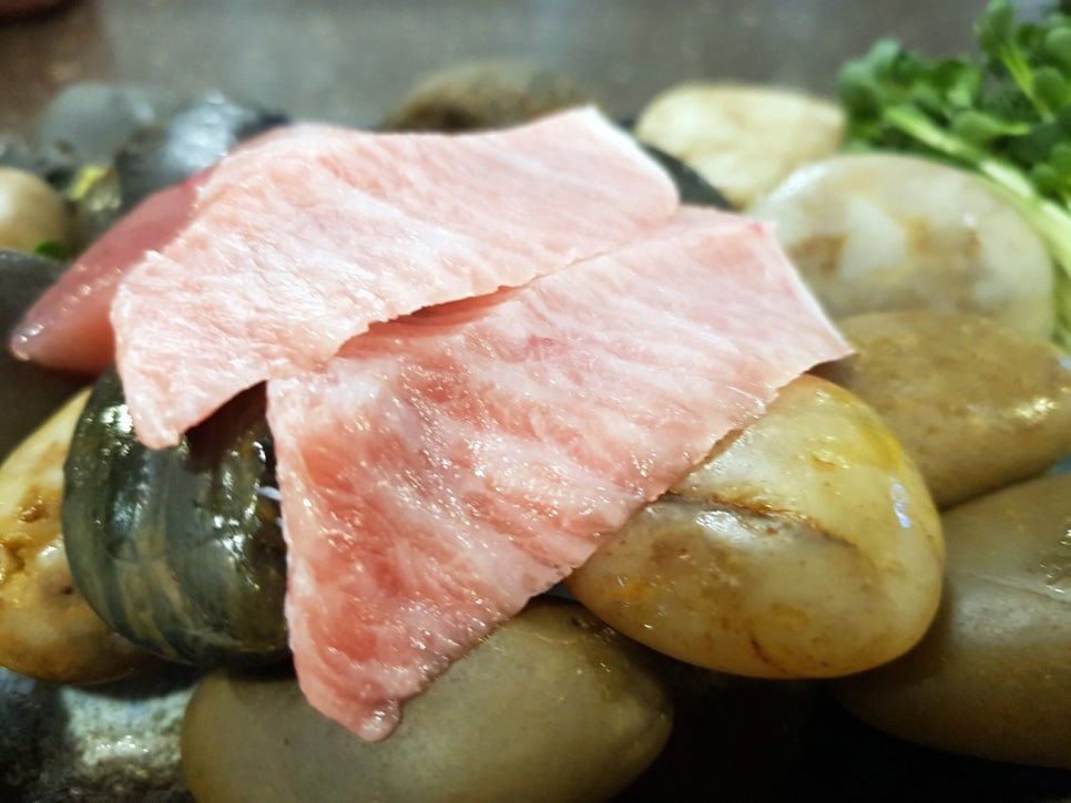 도참치 이미지