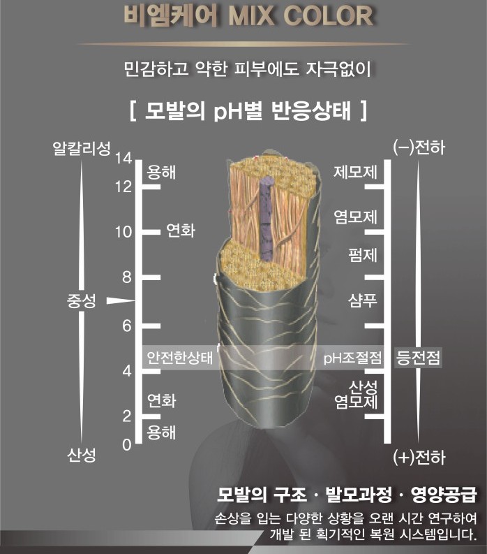 오아시스비엠 이미지