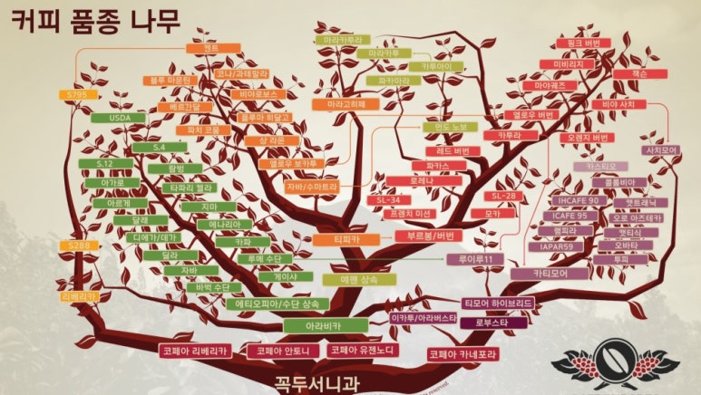 라뽈리스 이미지