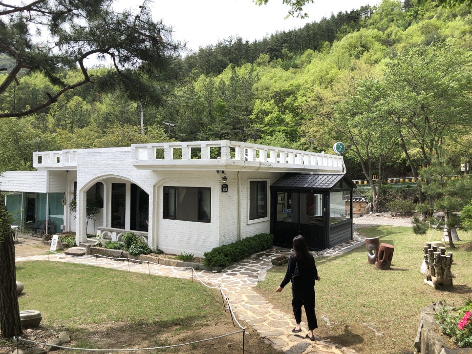 기양초 이미지