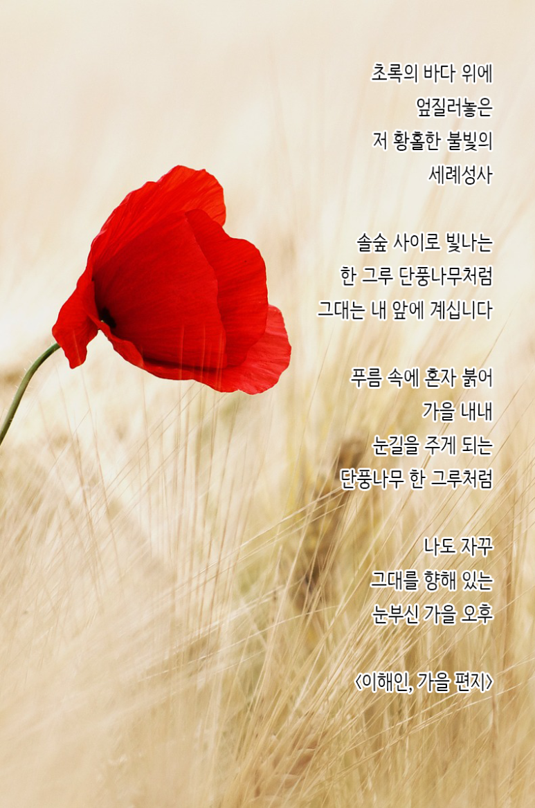 이시꾸네일 이미지