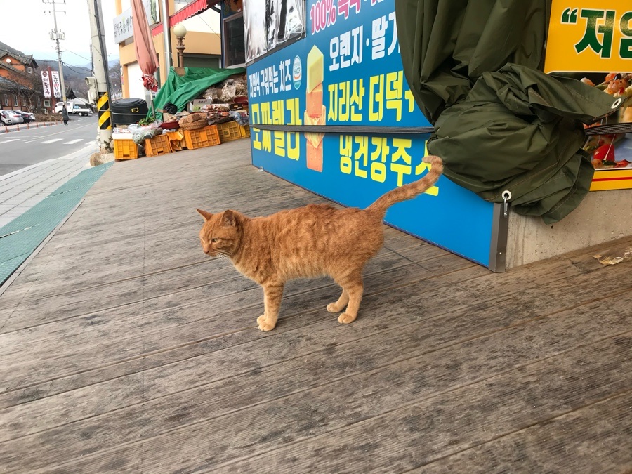 화개명가 이미지