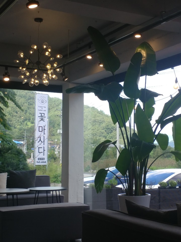 꽃마시다 이미지