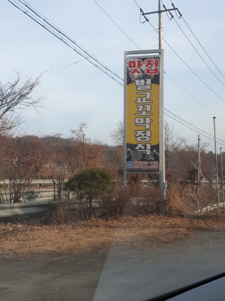 순흥애꽃 이미지