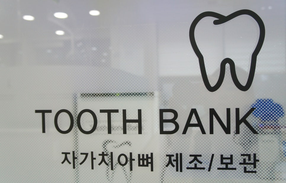 보스톤연합치과의원 이미지