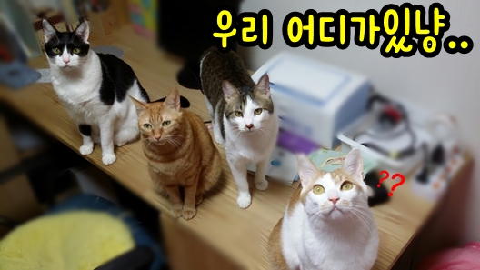 청소의달인 이미지