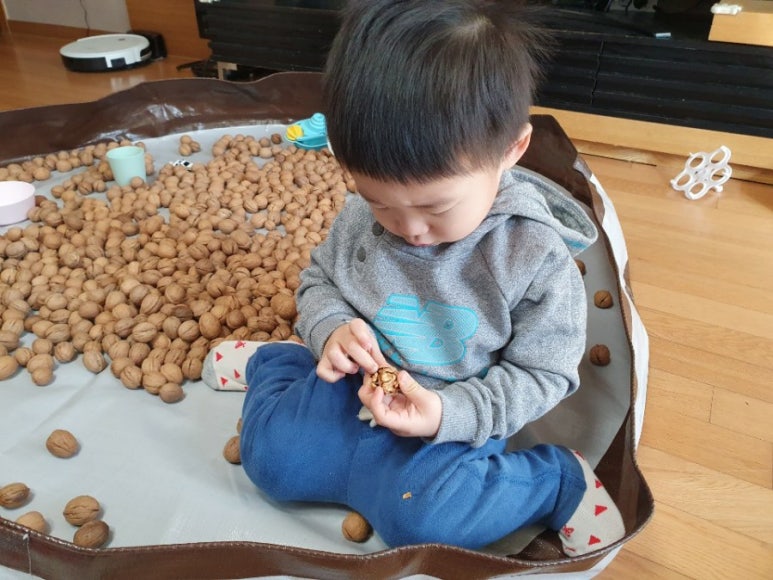 호두대장 이미지