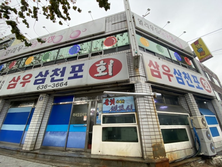 삼우삼천포 이미지