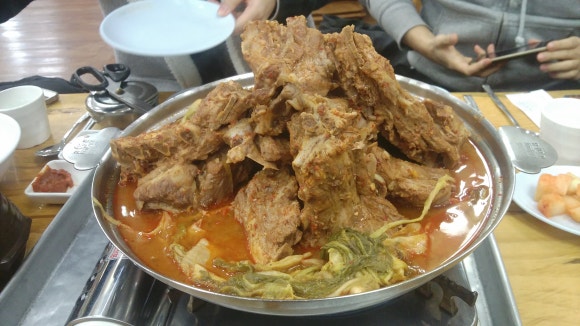원조뼈다귀 이미지